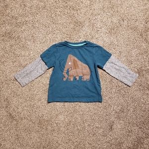 Gymboree blue & grey long sleeve graphic tee size 2t in great condition